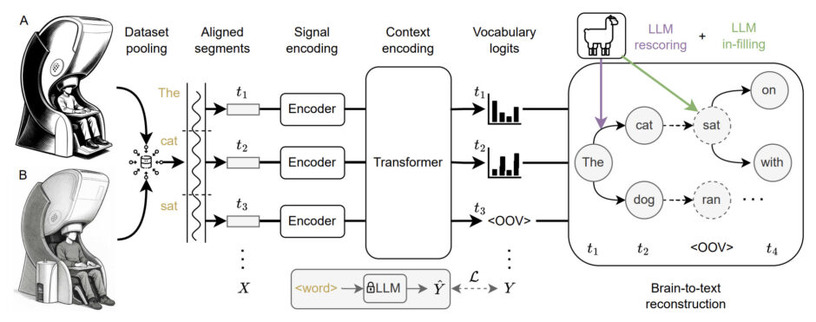 「脳への電極埋め込み」なしで脳活動から高精度で考えを文字起こしするAI技術、オックスフォード大が発表(生成AIクローズアップ) 画像