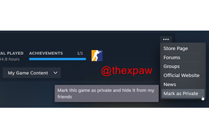 Steam、特定タイトルのプレイ履歴を隠せるプライバシー機能やペアレンタルコントロールを開発中？SteamDB開発者が報告 画像