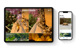 アップル、iPhoneやMacの「マイフォトストリーム」機能を7月26日終了。写真の保存を忘れずに 画像