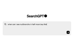 OpenAI、独自検索エンジン「SearchGPT」公開。招待制の期間限定試作、ChatGPTと統合へ 画像