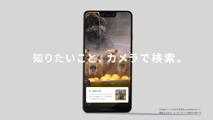 Googleレンズ、肌の状態を写真で「検索」可能に。表現が難しい症状も対応、医療機関への相談を推奨 画像