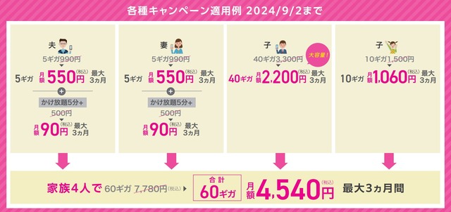 格安SIMも大容量時代！IIJmioの目的別おすすめプランと端末を徹底解説