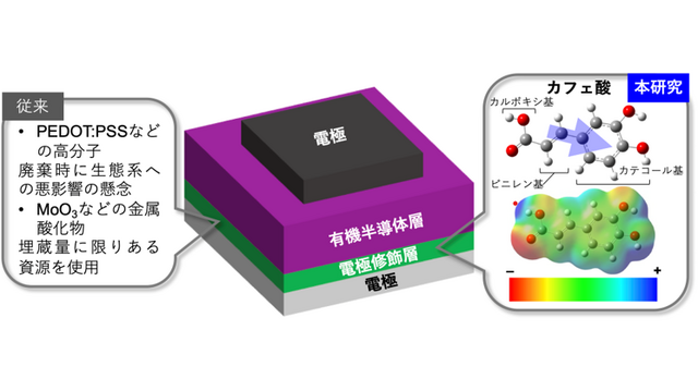 半導体もコーヒーでやる気。「カフェ酸」が有機半導体の電流量を最大100倍にする研究結果