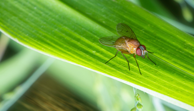 sweeming YOUNG / Adobe Stock